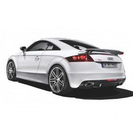 Audi TT Serisi 8J (2006-2014) RS Model Yan Marşpiyel Seti (Plastik)